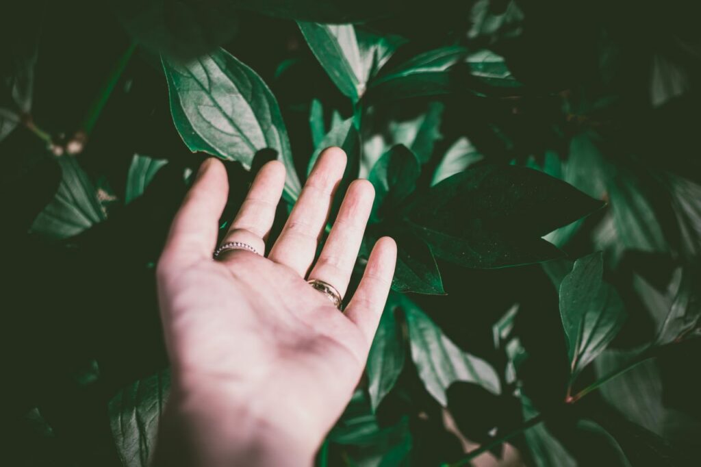 jungle hand