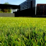 grasveld in een moderne tuin