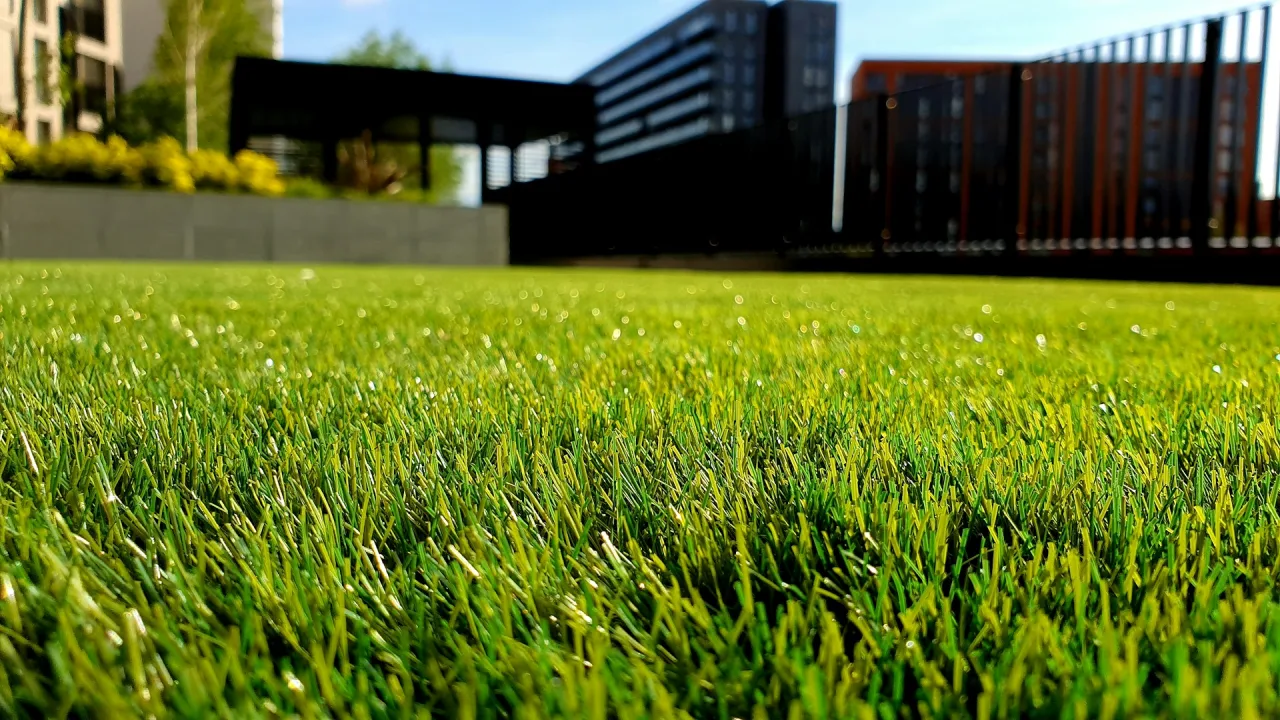 grasveld in een moderne tuin
