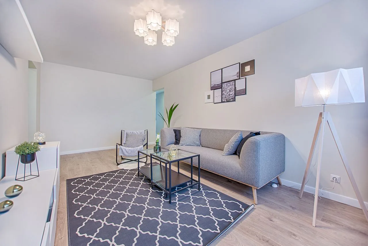 licht ingericht huis met bank en vloerkleed